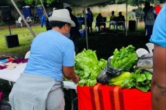 WhatsApp-Image-2025-01-14-at-06.58.18