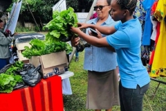 WhatsApp-Image-2025-01-14-at-06.58.19